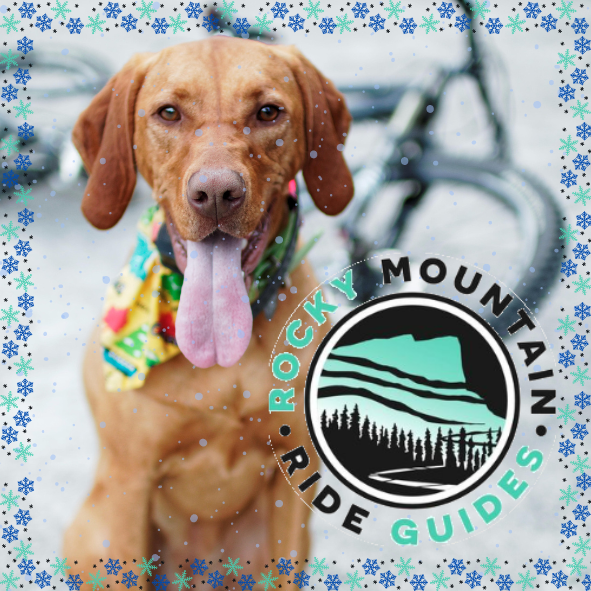 Rocky Mountain Ride Guide banner