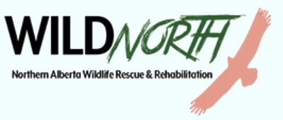 WildNorth - Northern Alberta Wildlife Rescue & Rehabilitation