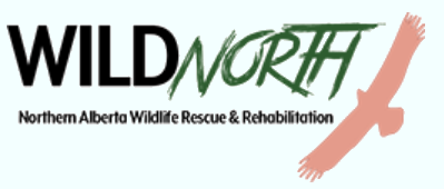 WildNorth - Northern Alberta Wildlife Rescue & Rehabilitation WildNorth - Northern Alberta Wildlife Rescue & Rehabilitation
