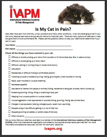 IVAPM cat pain checklist