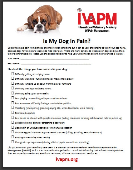IVAPM dog pain checklist